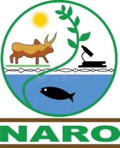 NARO